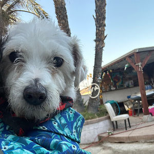 Meet your Posher, April